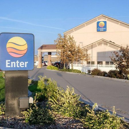 Comfort Inn Garden City Zewnętrze zdjęcie