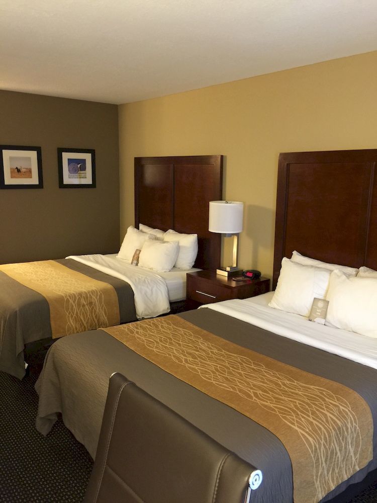 Comfort Inn Garden City Zewnętrze zdjęcie